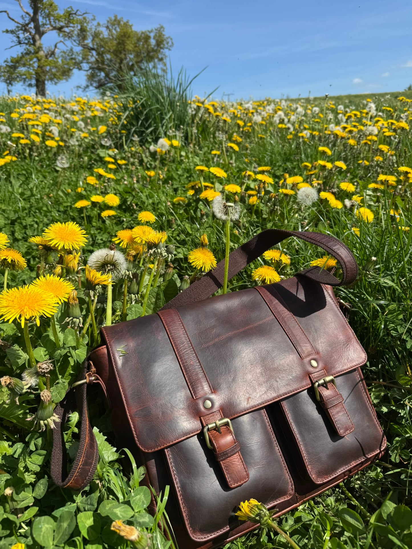 Roma Flapover Messenger Bag Brown